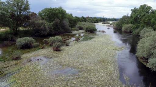 Tiétar River, Ávila, Castile and León, Spain.