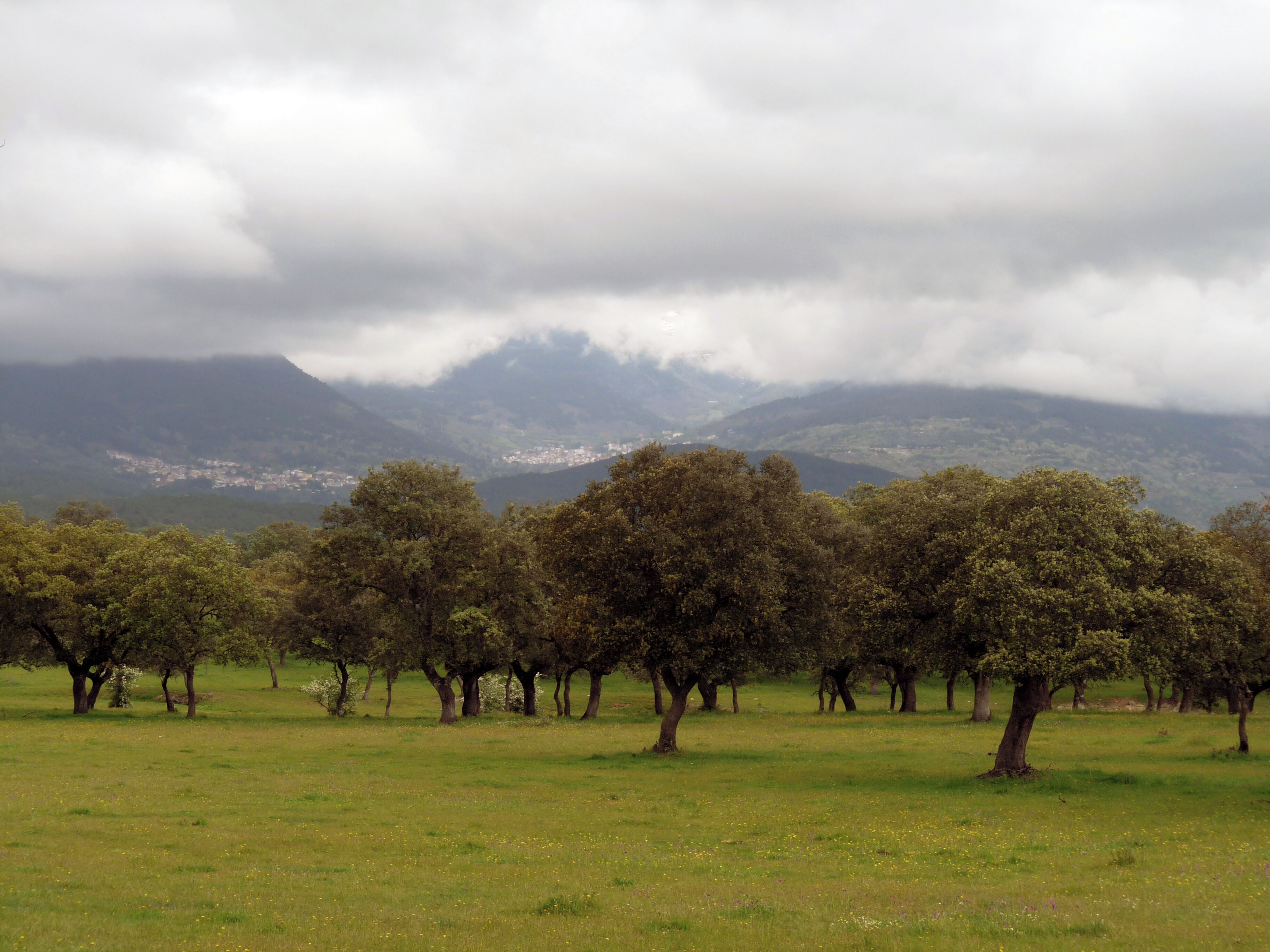 Ávila, Castile and León, Spain.
