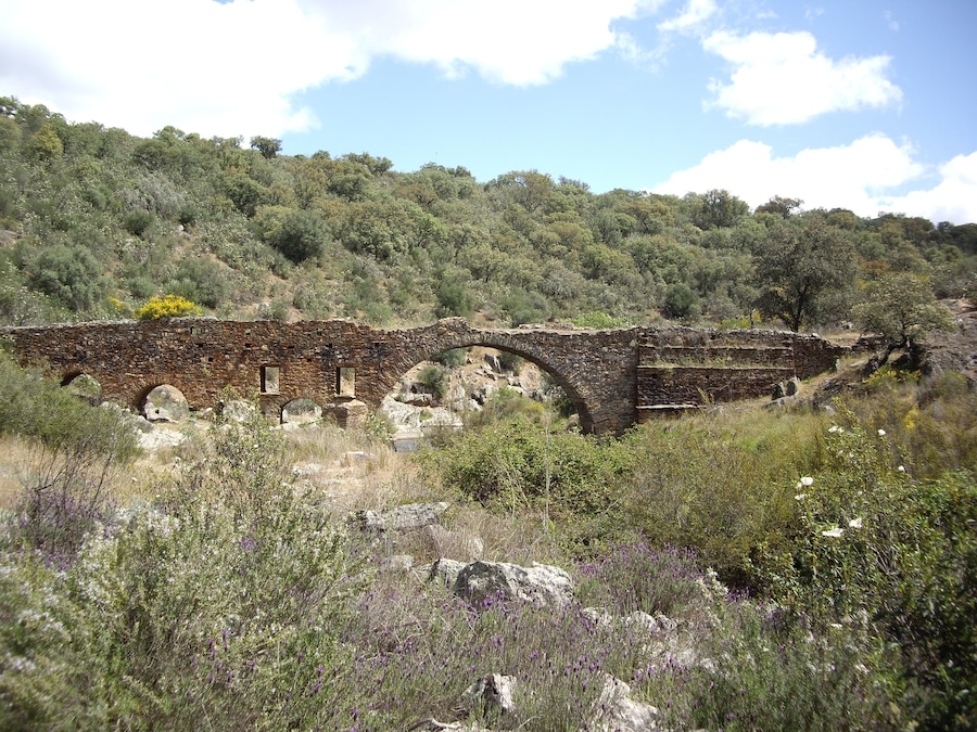Puente Serapio