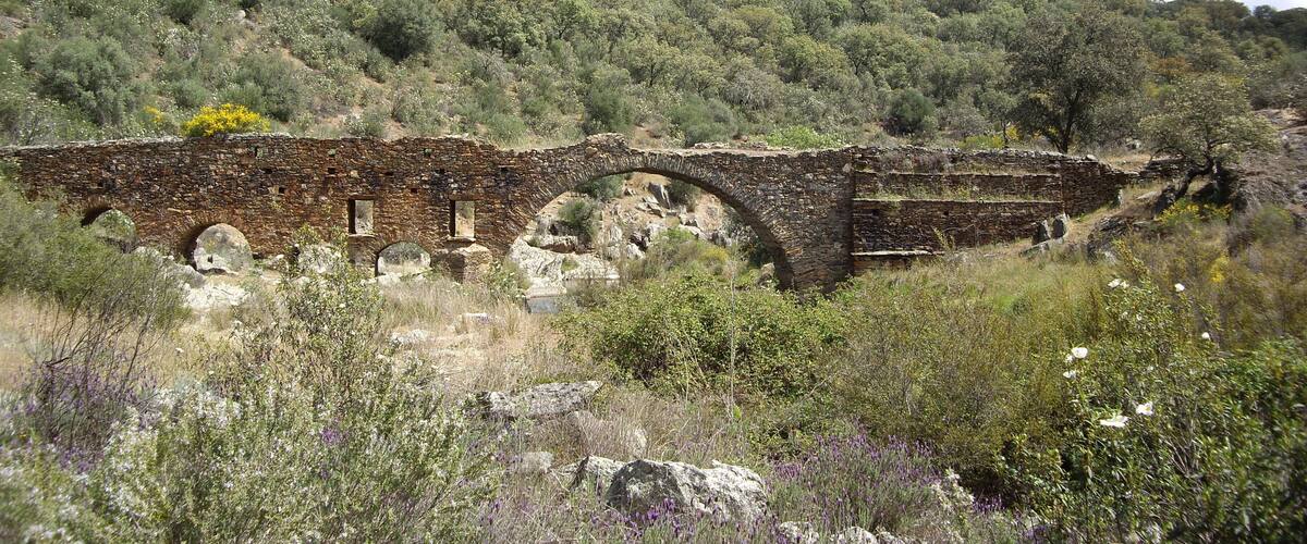 An ancient stone bridge with arches, surrounded by wildflowers and dense forest.