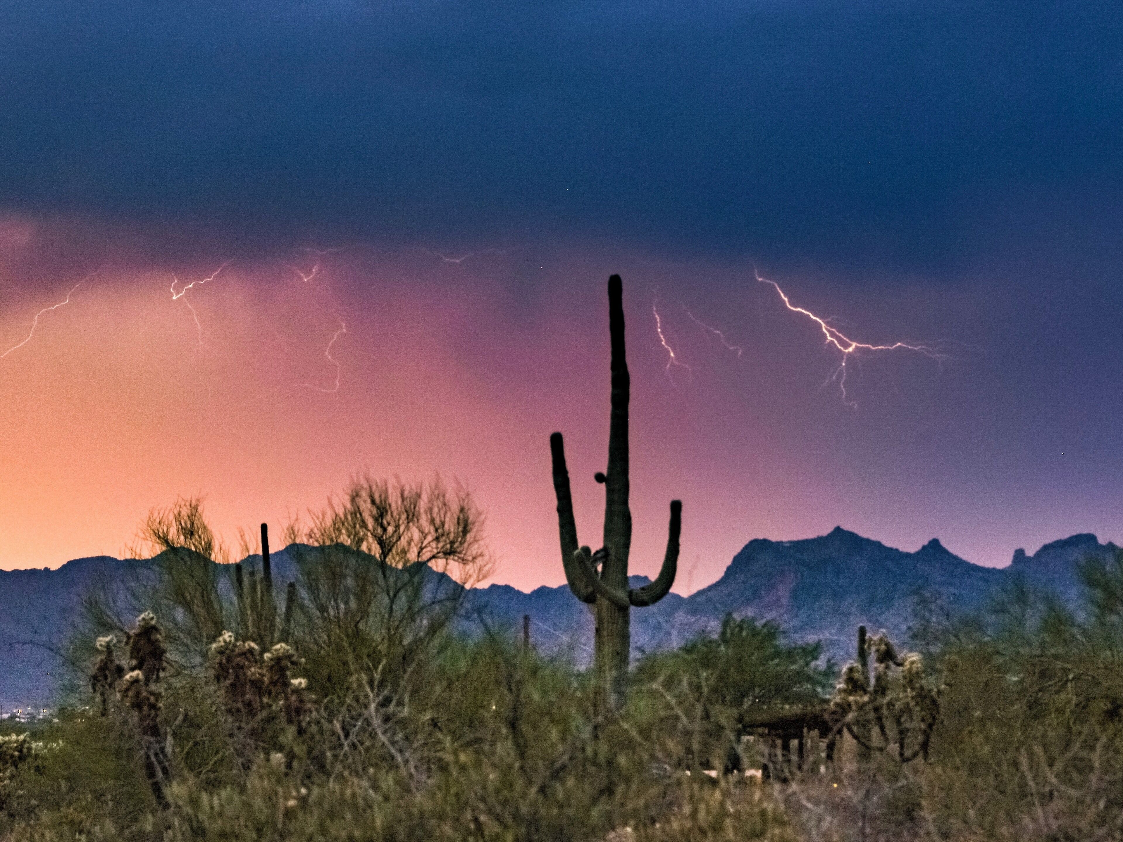 Monsoon night 


#adventure #monsoon #arizona