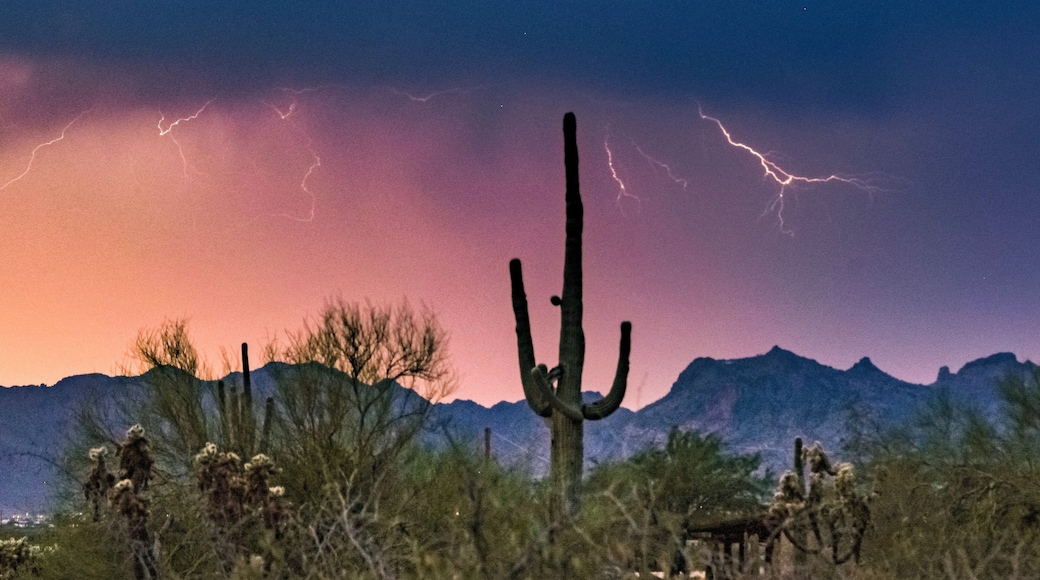 Monsoon night
#adventure #monsoon #arizona