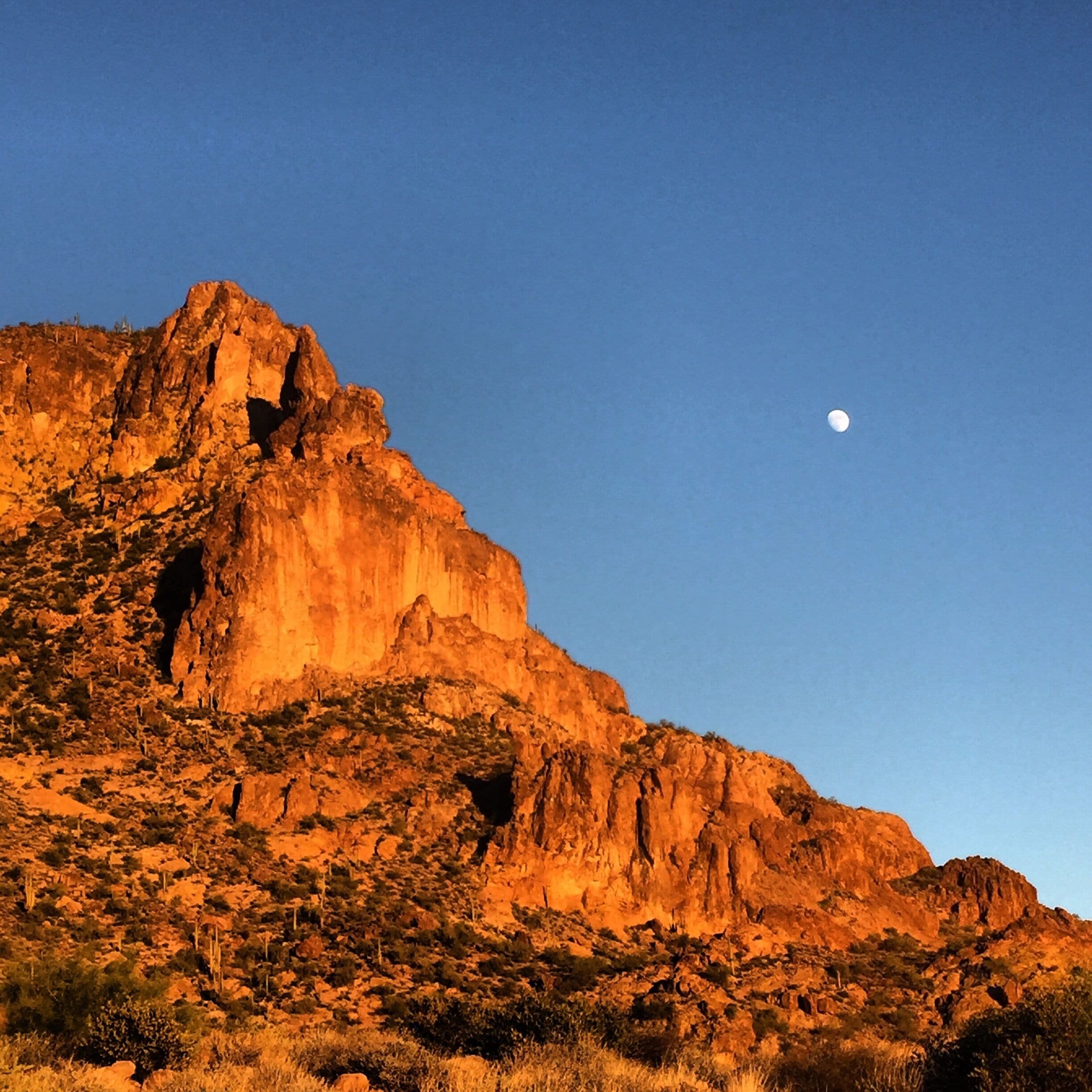 Caught the moon creeping out early.