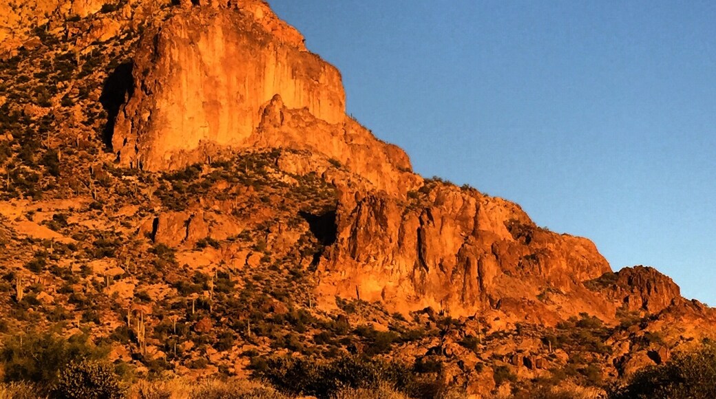Caught the moon creeping out early.