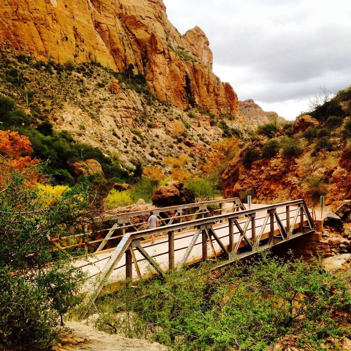 A lot of the area leading to Roosevelt Lake was full of tourist trap type places like the Goldfield Ghost Town and Tortilla Flats. If you can pass on that the land is really beautiful. We camped on the lake in early December and had the whole place to ourselves since most locals would say that 60 degrees at night is too cold. Bring your own campfire wood.
