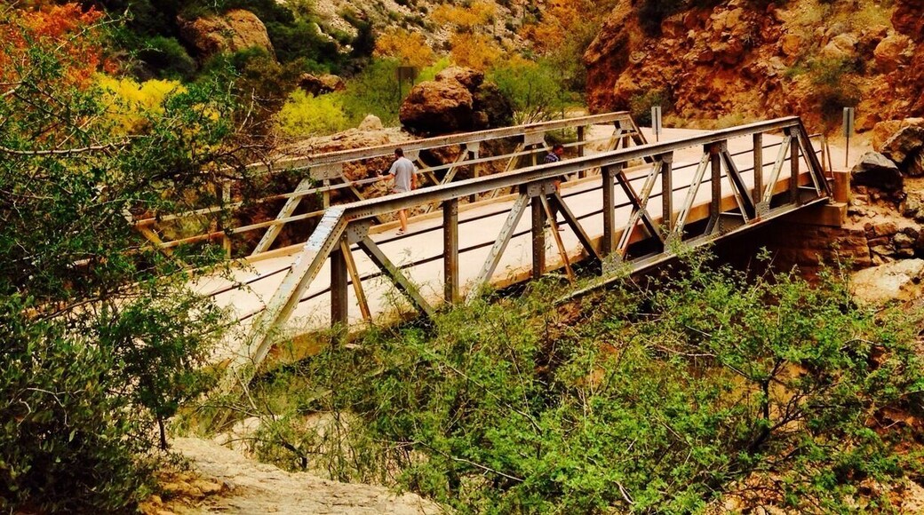 A lot of the area leading to Roosevelt Lake was full of tourist trap type places like the Goldfield Ghost Town and Tortilla Flats. If you can pass on that the land is really beautiful. We camped on the lake in early December and had the whole place to ourselves since most locals would say that 60 degrees at night is too cold. Bring your own campfire wood.