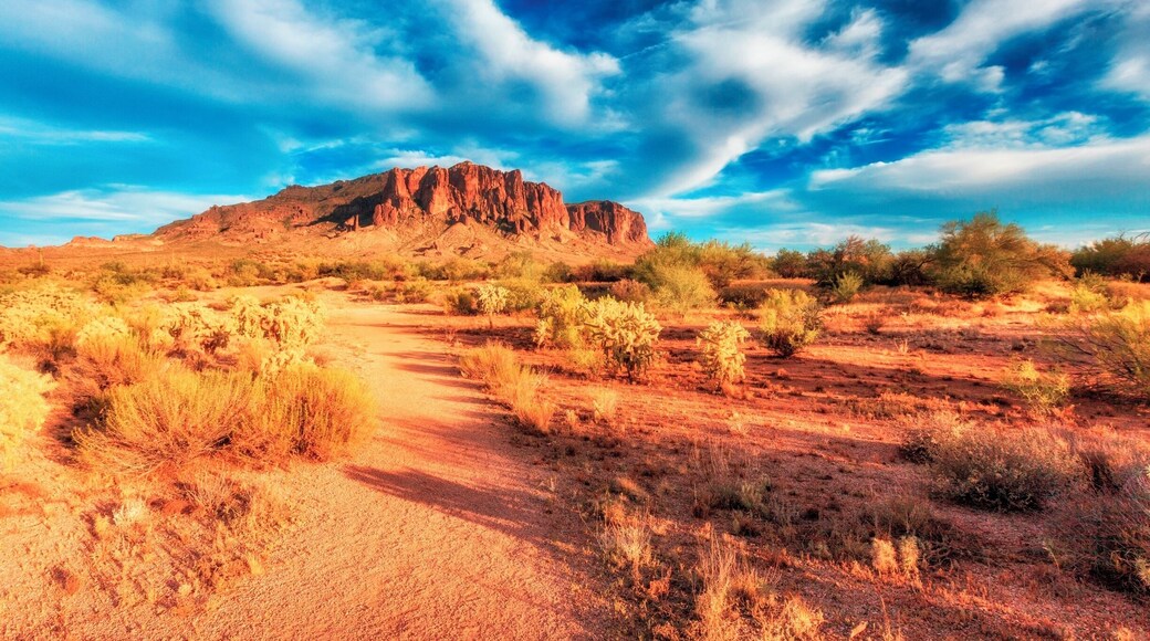 Superstition Mountains in sunset light, Arizona.
Superstition Mountain is believed to have great treasure hidden within. Many people have tried to find it but have never succeeded. It is difficult to explore because of its dangerous cliffs and plateaus. It’s a treacherous mountain and many adventurers never come back.
More pictures from Arizona you can find at www.mfphotostore.com/Nature/Landscapes/USA/Arizona/
#USA #Arizona #AZ #US #Superstitions #mountains #sunset