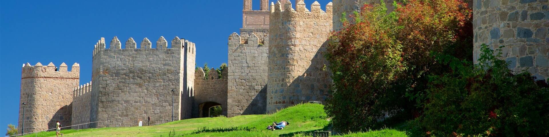 A historic stone castle with multiple towers and battlements.