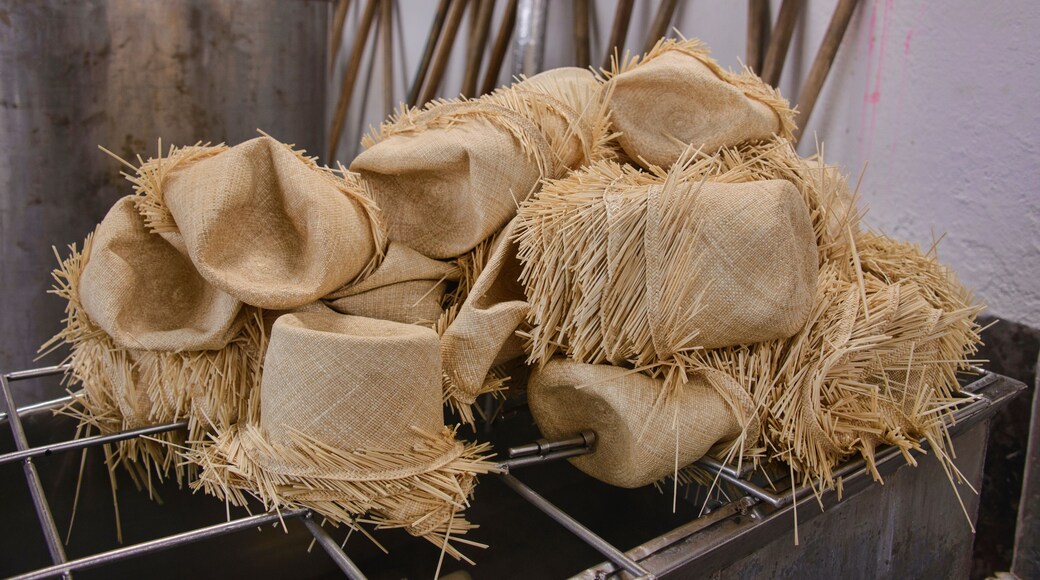 มอนเตคริสตี