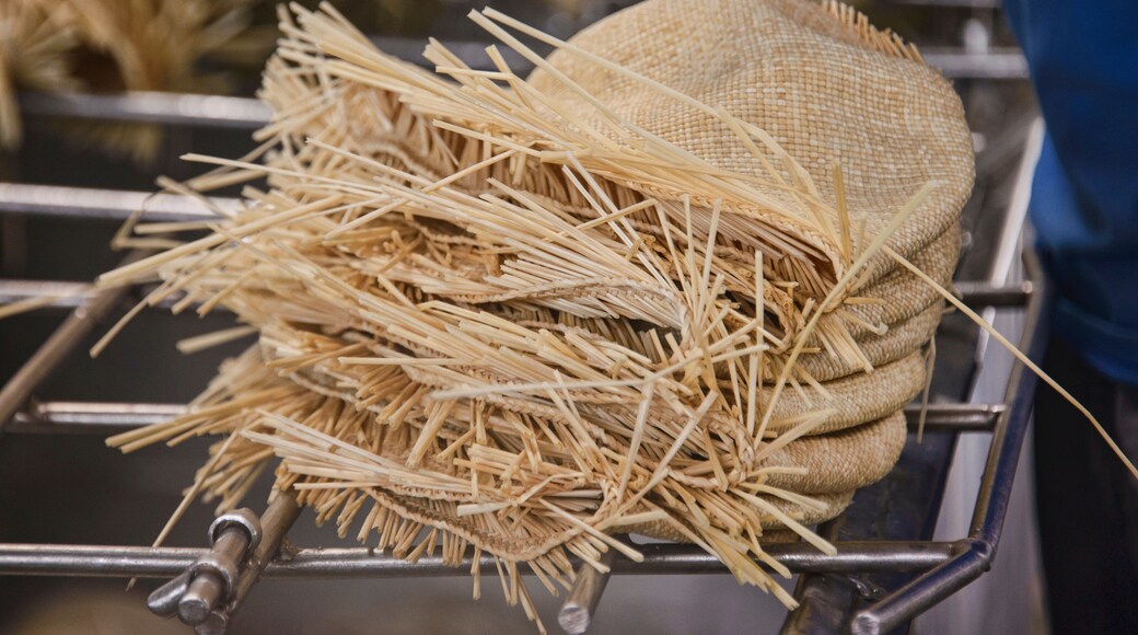 มอนเตคริสตี