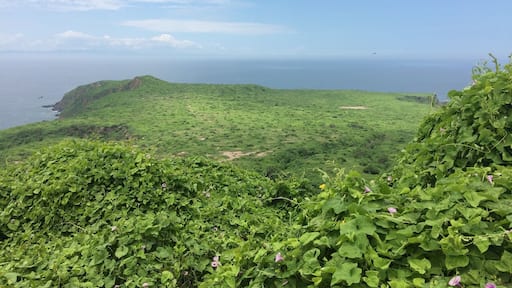 Isla de la Plata is an island 40 km off the Ecuadorian coast. It's also called Galapagos for the poor, because it offers a Galapagos feel without the pricetag. It's nothing poor in terms of flora and fauna though! #ecuador #green #island #wildlife #holidays