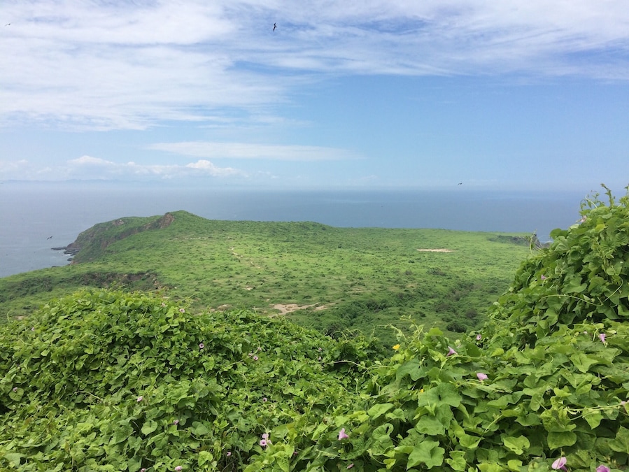 Isla de la Plata is an island 40 km off the Ecuadorian coast. It's also called Galapagos for the poor, because it offers a Galapagos feel without the pricetag. It's nothing poor in terms of flora and fauna though! #ecuador #green #island #wildlife #holidays