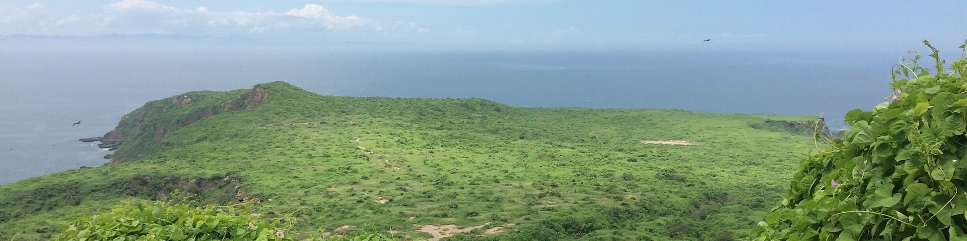 Isla de la Plata is an island 40 km off the Ecuadorian coast. It's also called Galapagos for the poor, because it offers a Galapagos feel without the pricetag. It's nothing poor in terms of flora and fauna though! #ecuador #green #island #wildlife #holidays