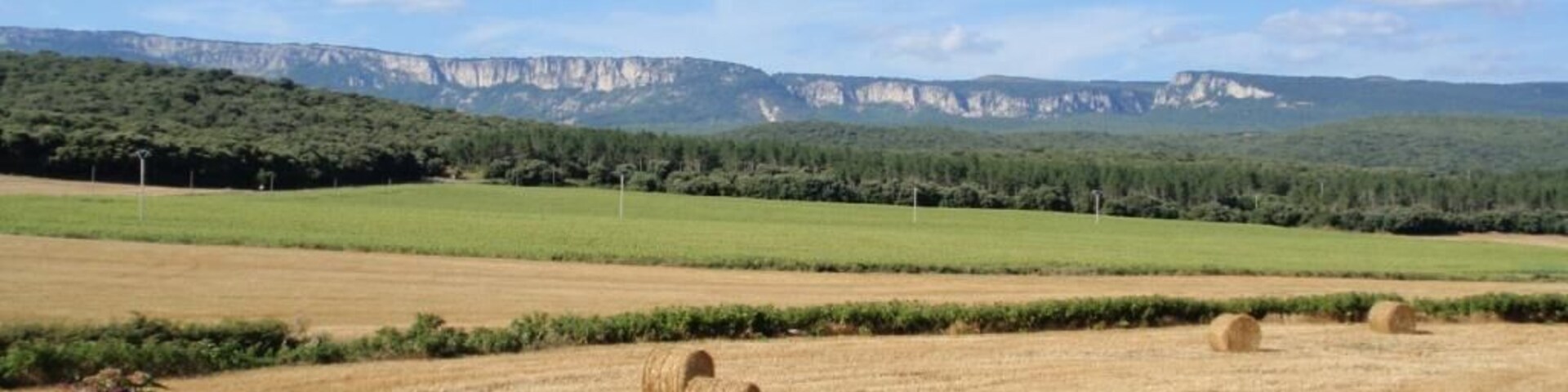 A rural landscape with fields, hay bales, and distant mountains.
