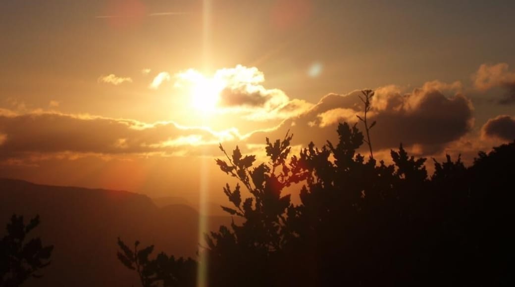 Acedo Amanecer en Estemblo