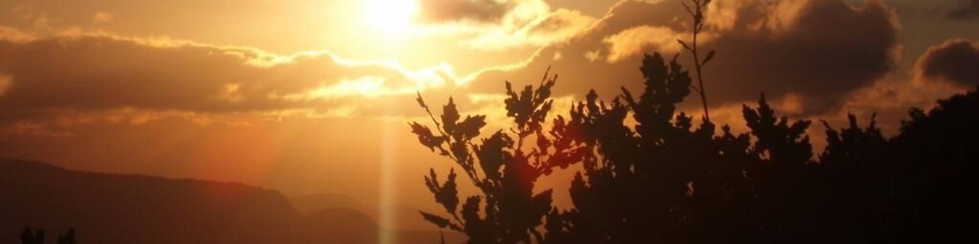 Acedo Amanecer en Estemblo