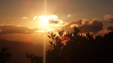 Acedo Amanecer en Estemblo