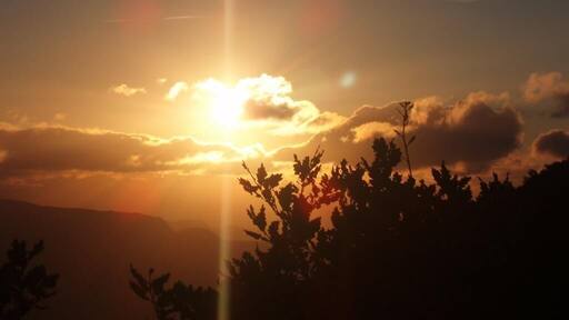 Acedo Amanecer en Estemblo