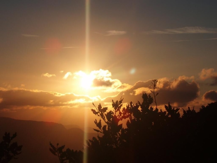 Acedo Amanecer en Estemblo