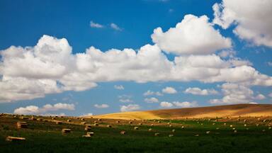 A green field with hay bales and sheep under a blue sky with clouds.