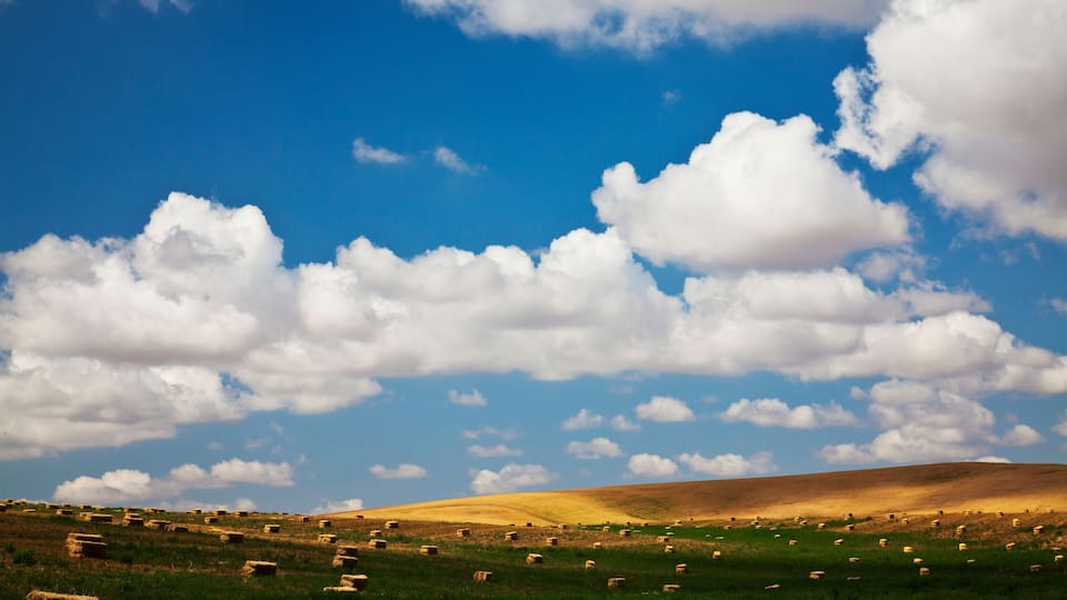 A green field with hay bales and sheep under a blue sky with clouds.