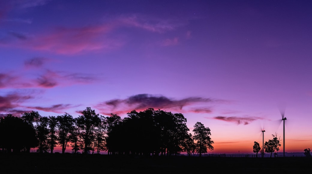 The silhouette of four modern windmills in a colorful sunset, next to a group of trees on the horizon, on the outskirts of Kiyú, San José, Uruguay