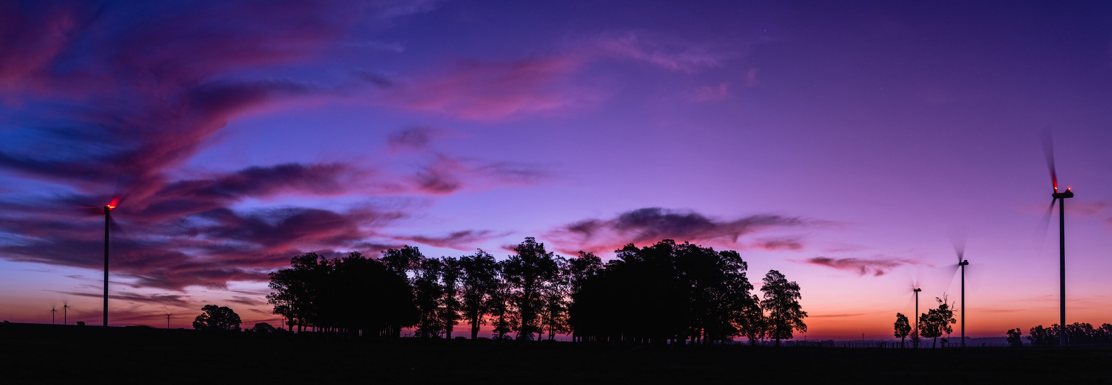 A sunset with a purple sky, silhouetted trees, and wind turbines.