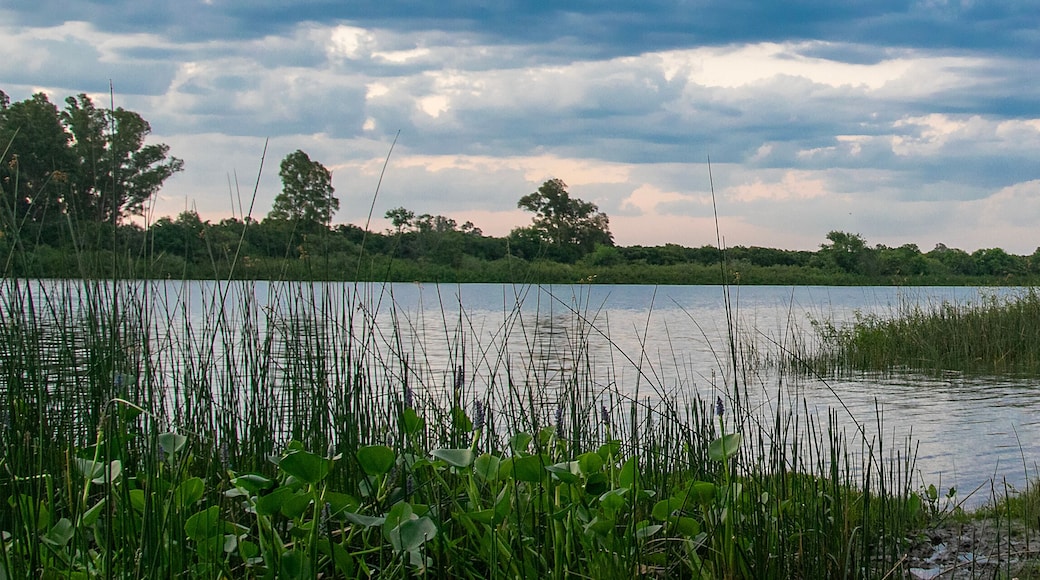 Santa lucia river landscape, los cerrillos, uruguay