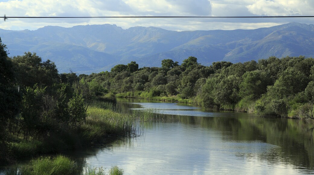 Von der Brücke der Straße CG-9 zwischen Navalmoral de la Mata und Tiétar Richtung Nordwesten, im Hintergrund liegt die Sierra de Gredos. Der Arroyo de Santa María ist ein linker Nebenfluss des Río Tiétar, er entspringt südöstlich von Navalmoral de La Mata, mündet nördlich von Talayuela in den Río Tiétar und hat an dieser Stelle für einen »Arroyo« (Bach) ein ungewöhnliches Volumen, allerdings ist er etwa tausend Meter weiter aufgestaut.