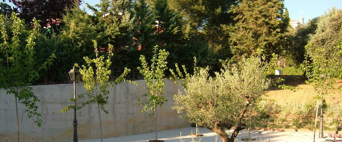 A landscaped garden with young trees and a concrete wall.