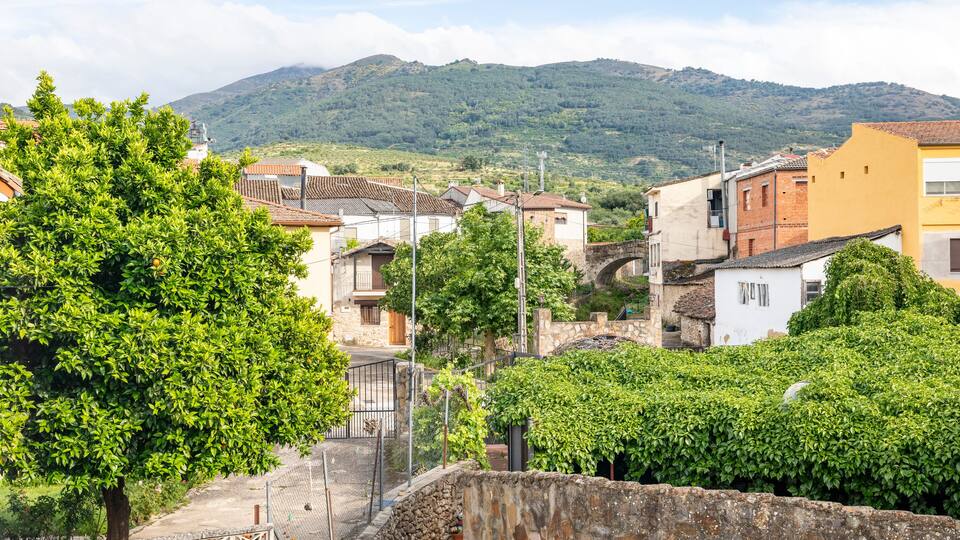A hillside village with stone houses, lush greenery, and a mountain in the background.