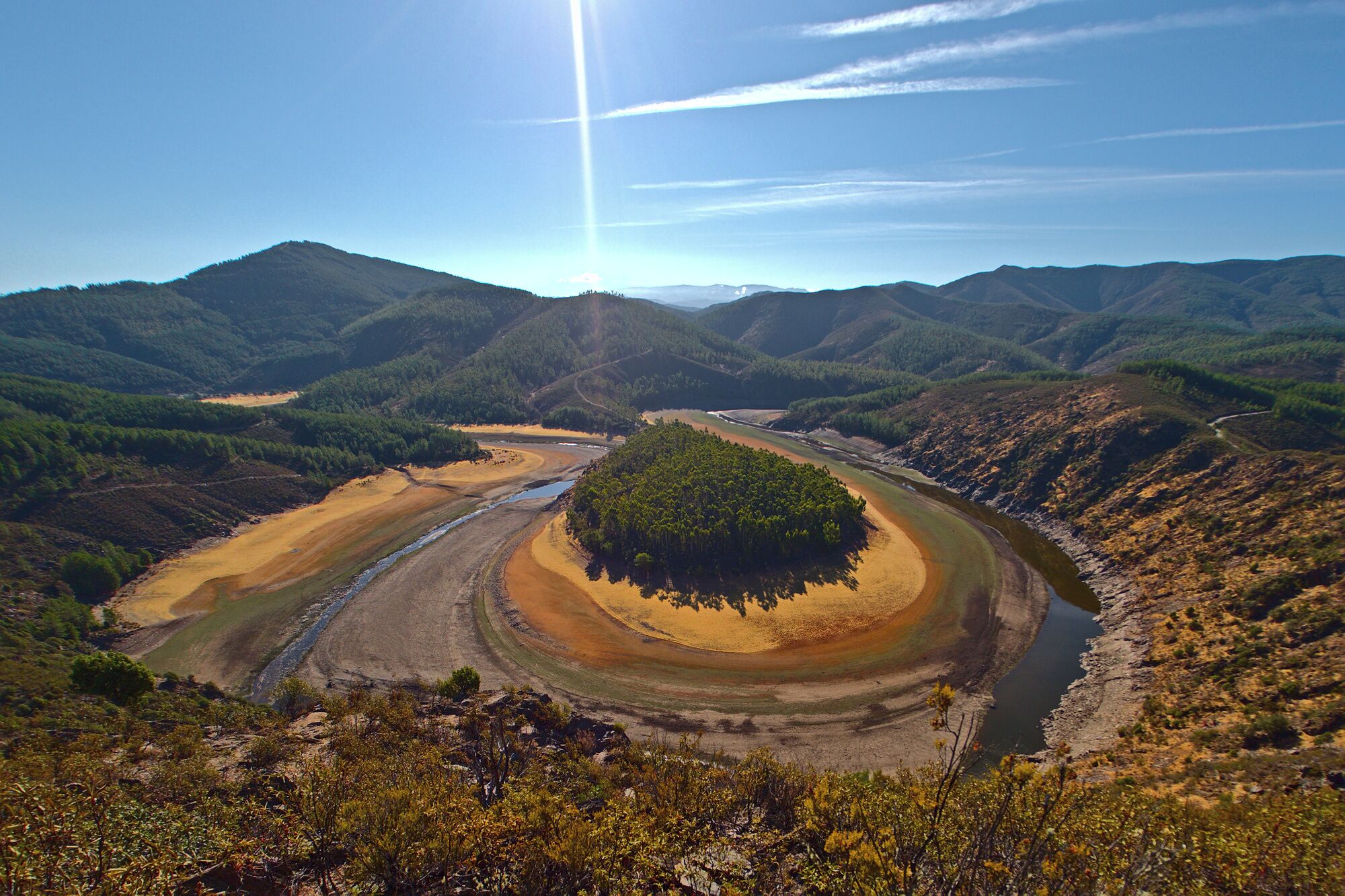 A river winding through a valley with a small island of dense forest in the center.