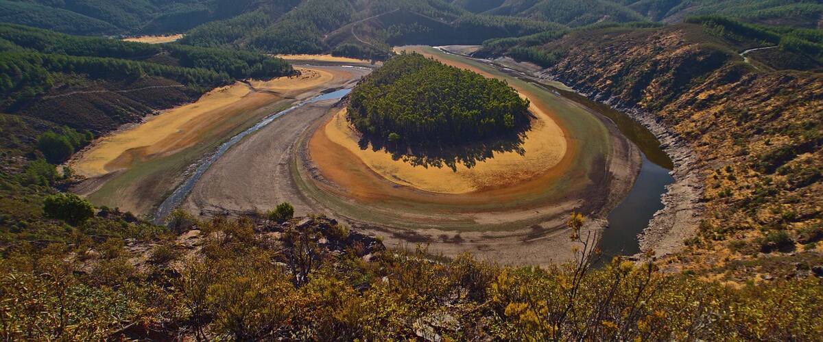 A river winding through a valley with a small island of dense forest in the center.