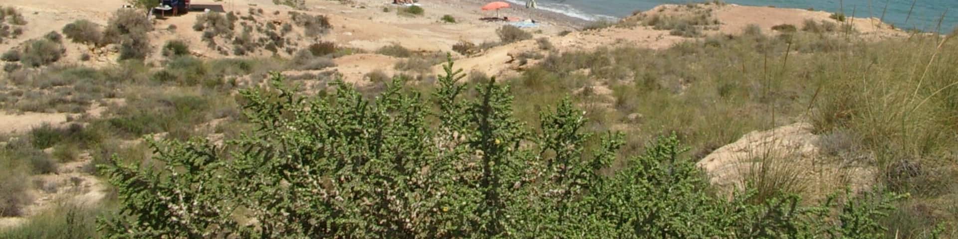 Mazarrón, Murcia, Spain