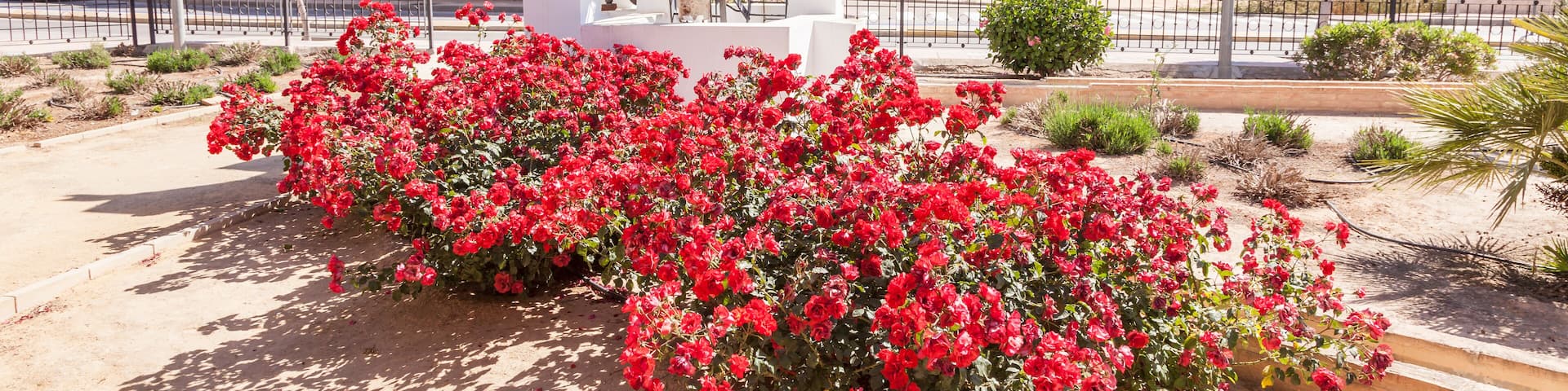 Old water mill in Fuente Alamo de Murcia, Spain
