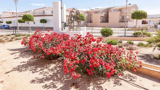 Fuente Álamo de Murcia