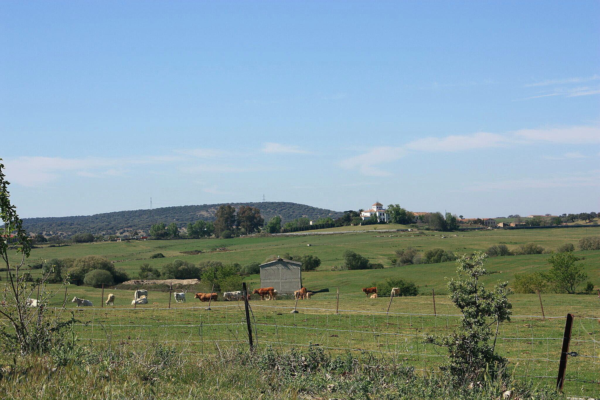 Valderrosas es un poblado de colonización situado en el municipio de Carcaboso, en la provincia de Cáceres, España. Fue fundado entre los años 1960 y 1970 y tiene unos 50 habitantes. Está considerado como un barrio de Carcaboso, aunque tiene código postal propio. El pueblo está formado por una plaza y algunas calles. Tiene una escuela en desuso e iglesia propia.( es.wikipedia.org/wiki/Valderrosas) maps.google.es/maps/ms?msa=0&msid=1091110791847002440...