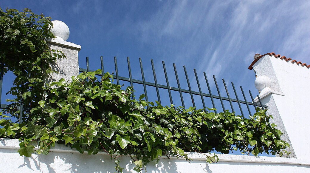 Valderrosas es un poblado de colonización situado en el municipio de Carcaboso, en la provincia de Cáceres, España. Fue fundado entre los años 1960 y 1970 y tiene unos 50 habitantes. Está considerado como un barrio de Carcaboso, aunque tiene código postal propio. El pueblo está formado por una plaza y algunas calles. Tiene una escuela en desuso e iglesia propia.( es.wikipedia.org/wiki/Valderrosas) maps.google.es/maps/ms?msa=0&msid=1091110791847002440...