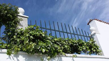 Valderrosas es un poblado de colonización situado en el municipio de Carcaboso, en la provincia de Cáceres, España. Fue fundado entre los años 1960 y 1970 y tiene unos 50 habitantes. Está considerado como un barrio de Carcaboso, aunque tiene código postal propio. El pueblo está formado por una plaza y algunas calles. Tiene una escuela en desuso e iglesia propia.( es.wikipedia.org/wiki/Valderrosas) maps.google.es/maps/ms?msa=0&msid=1091110791847002440...