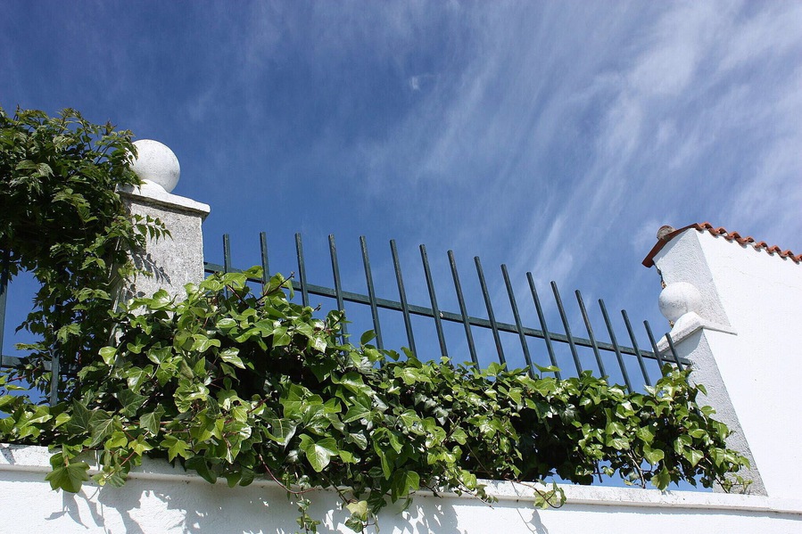 Valderrosas es un poblado de colonización situado en el municipio de Carcaboso, en la provincia de Cáceres, España. Fue fundado entre los años 1960 y 1970 y tiene unos 50 habitantes. Está considerado como un barrio de Carcaboso, aunque tiene código postal propio. El pueblo está formado por una plaza y algunas calles. Tiene una escuela en desuso e iglesia propia.( es.wikipedia.org/wiki/Valderrosas) maps.google.es/maps/ms?msa=0&msid=1091110791847002440...