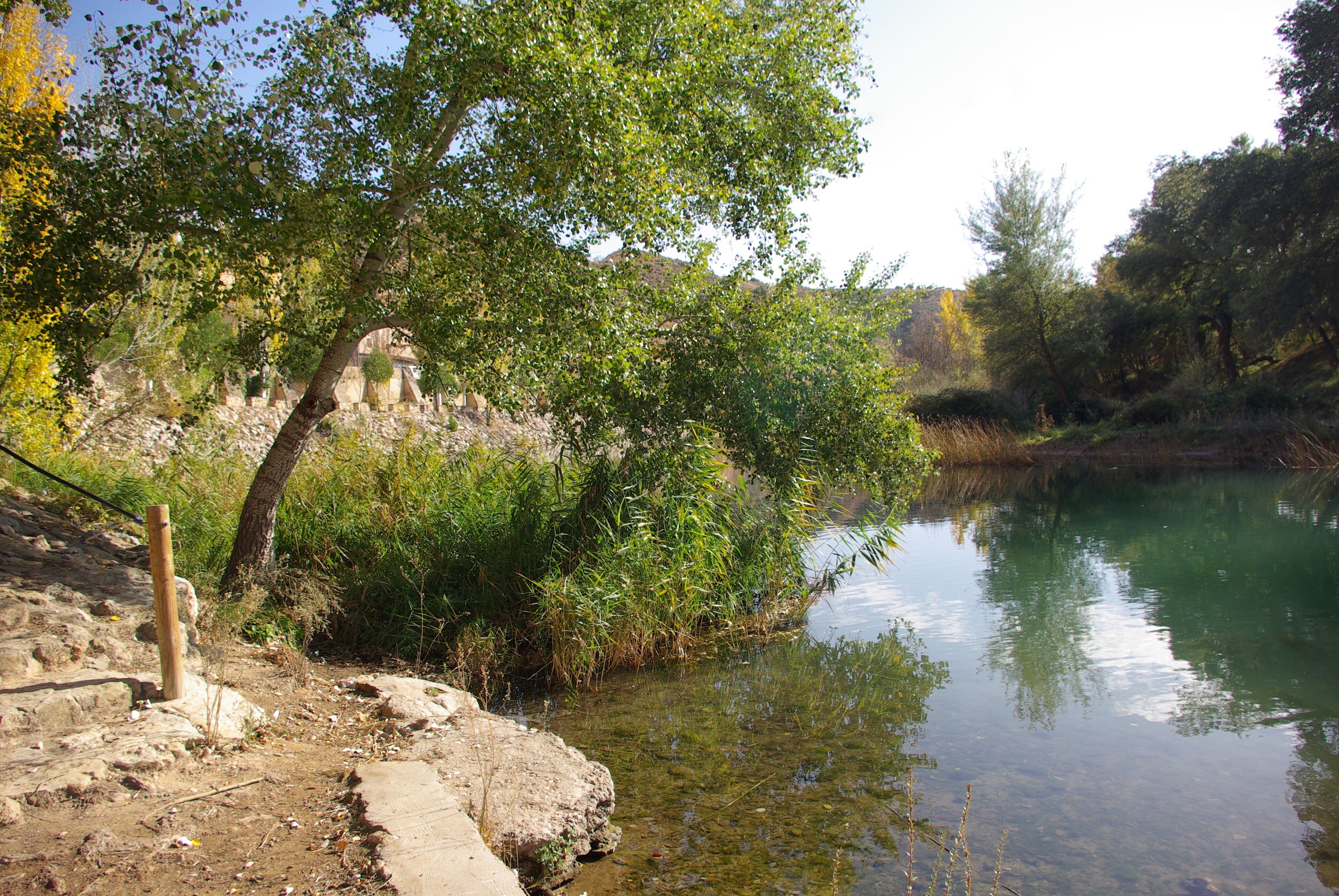 ® S.D. ZORITA DE LOS CANES RIO TAJO_VEGA