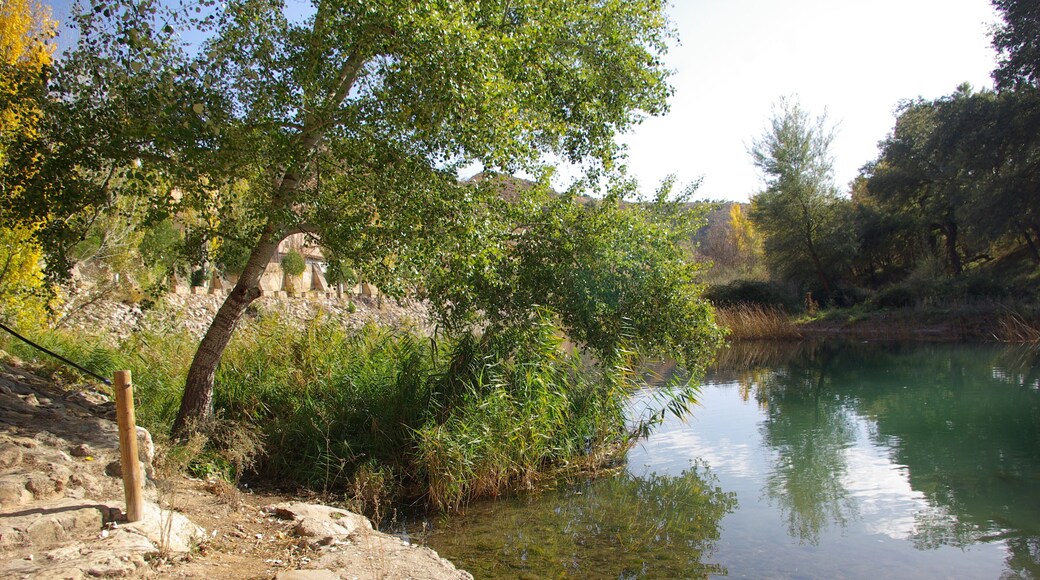 ® S.D. ZORITA DE LOS CANES RIO TAJO_VEGA