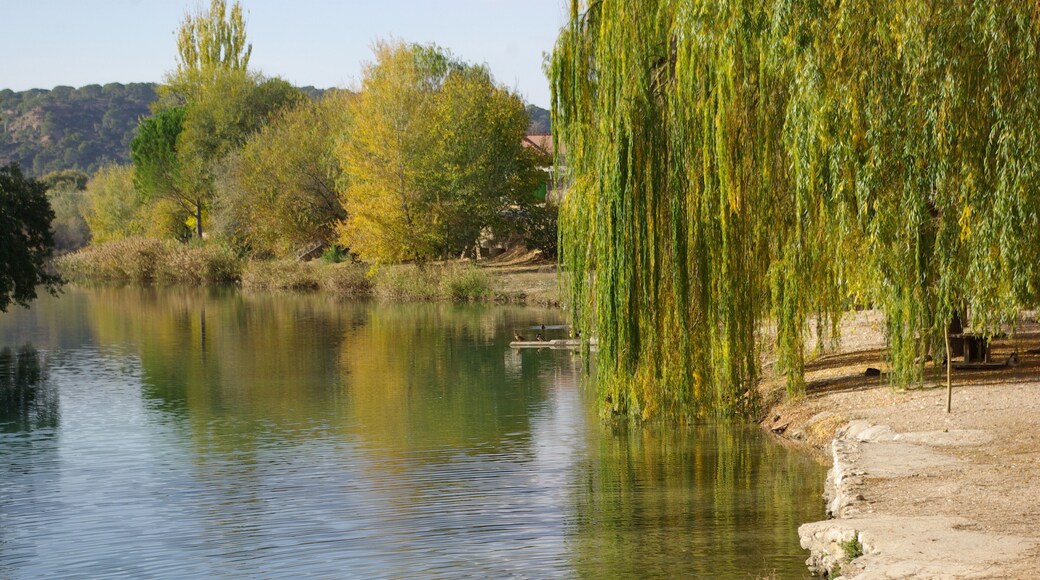 ® S.D. ZORITA DE LOS CANES RIO TAJO_VEGA