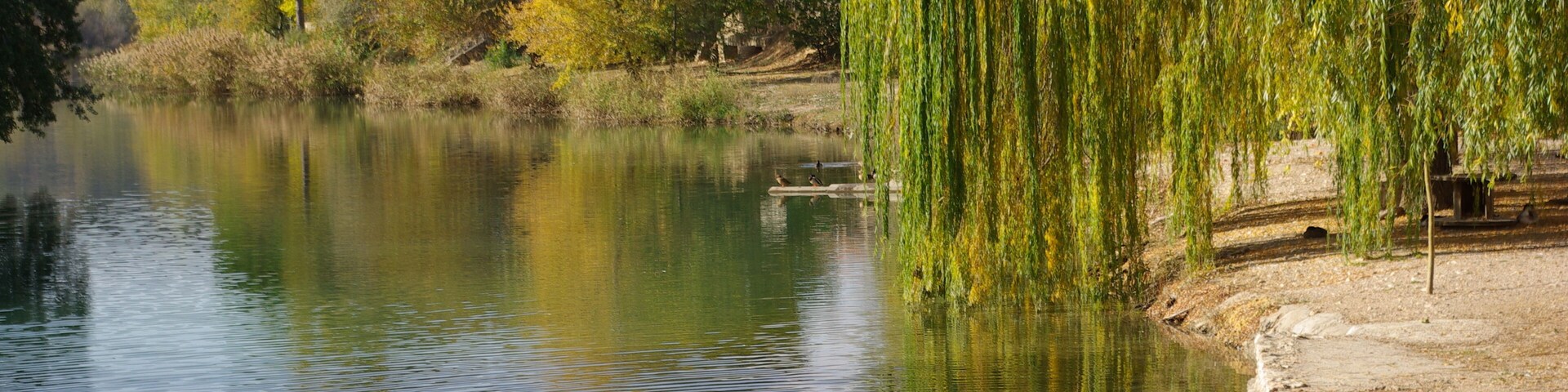 ® S.D. ZORITA DE LOS CANES RIO TAJO_VEGA