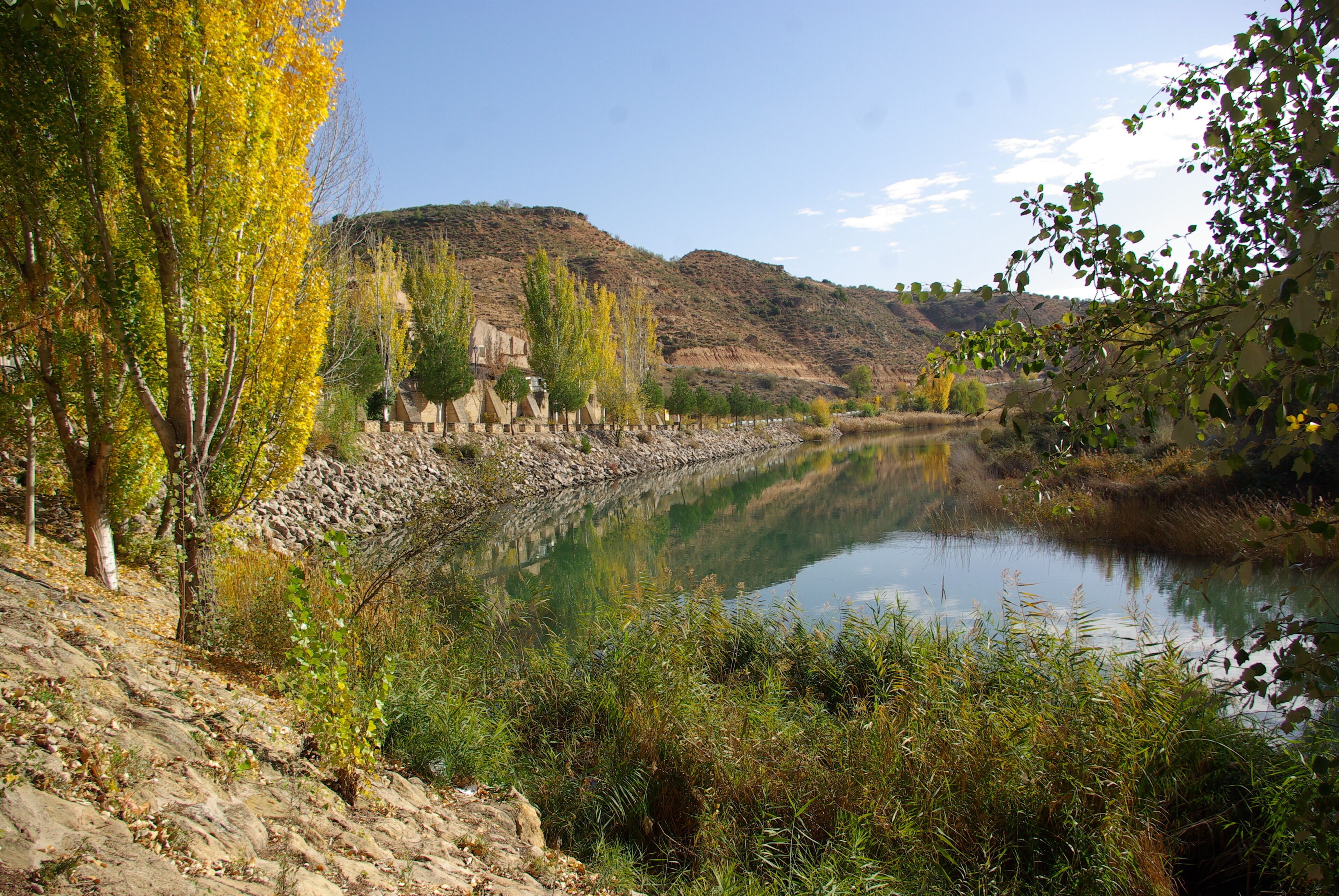 ® S.D. ZORITA DE LOS CANES RIO TAJO_VEGA