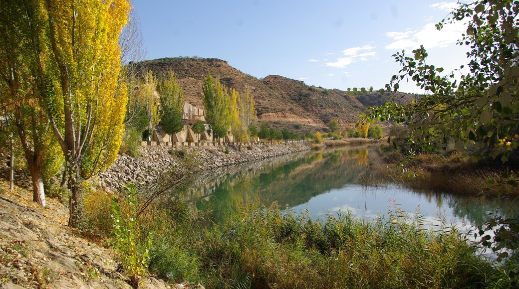 ® S.D. ZORITA DE LOS CANES RIO TAJO_VEGA