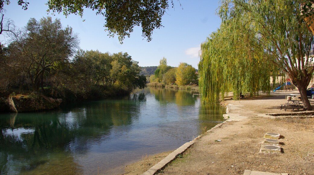 ® S.D. ZORITA DE LOS CANES RIO TAJO_VEGA