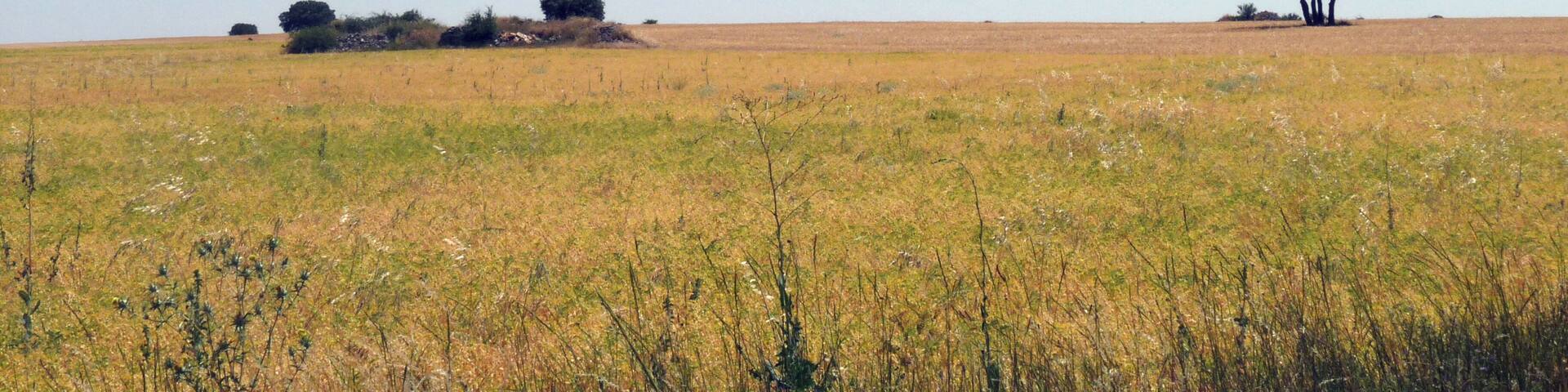 Paisaje al norte de Atanzón.