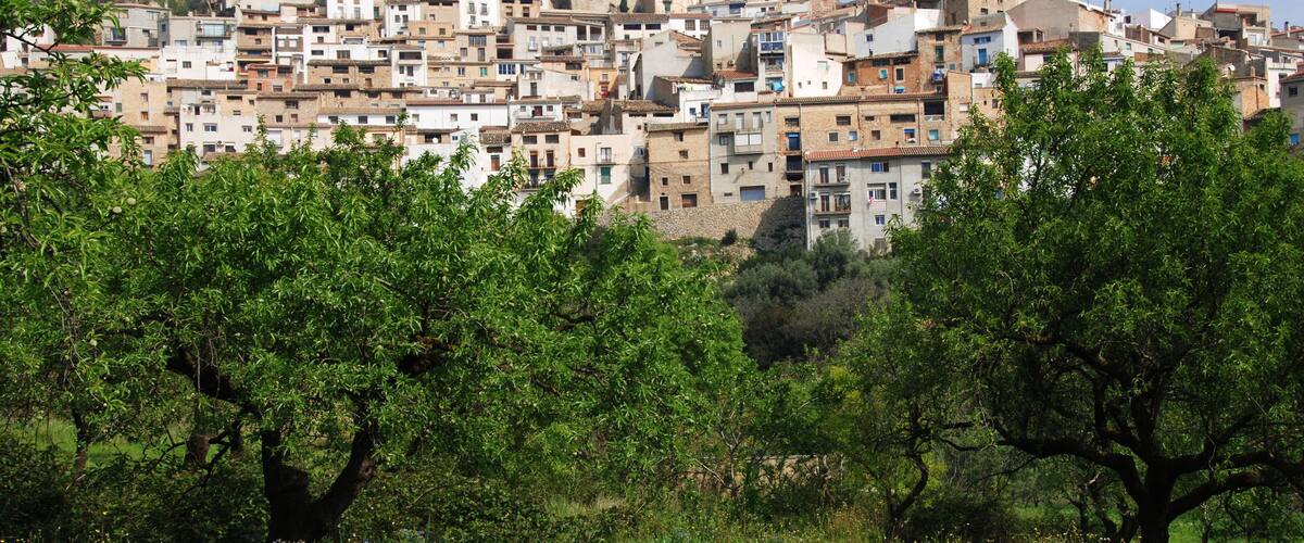 A hillside town with densely packed buildings and a prominent church on top.