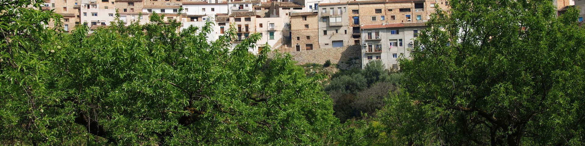 A hillside town with densely packed buildings and a prominent church on top.